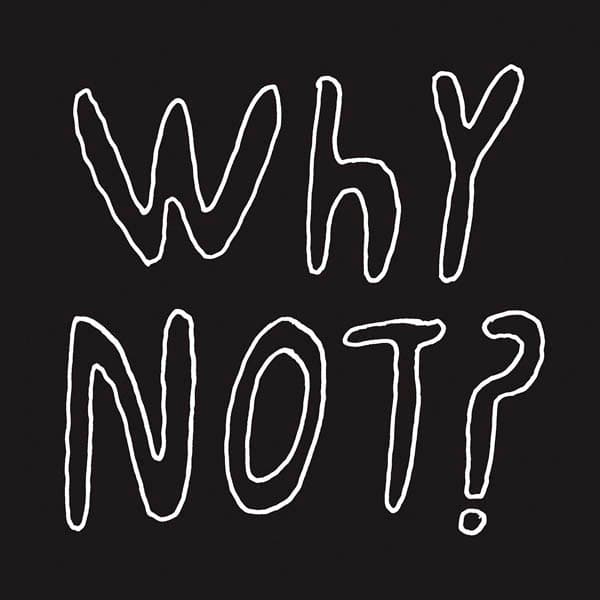 Half Japanese - Why Not? (LP)