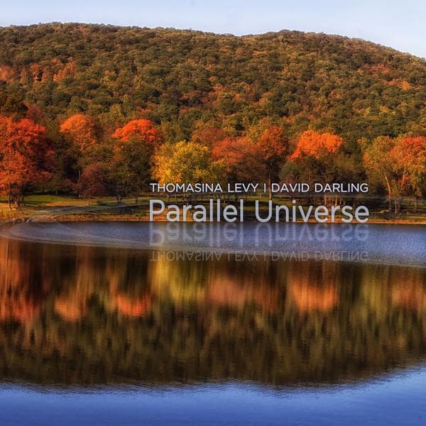 Levy, Thomasina / Darling, David - Parallel Universe