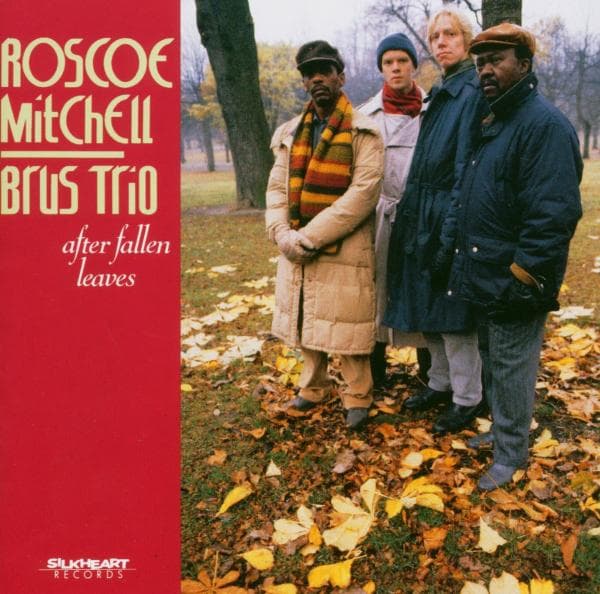 Mitchell, Roscoe - After Fallen Leaves