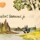 Albert Hammond Jr - Yours To Keep