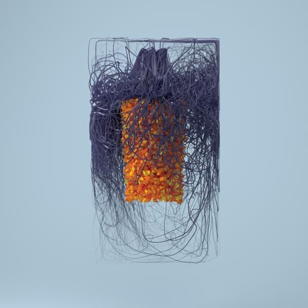 Plaid - Polymer (2 LP)