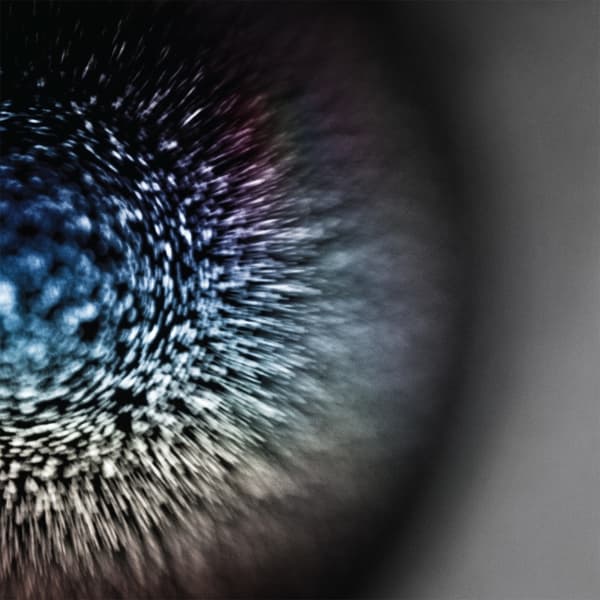 Emptyset - Blossoms (LP)