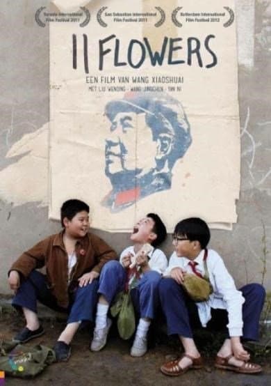 11 Flowers (DVD)