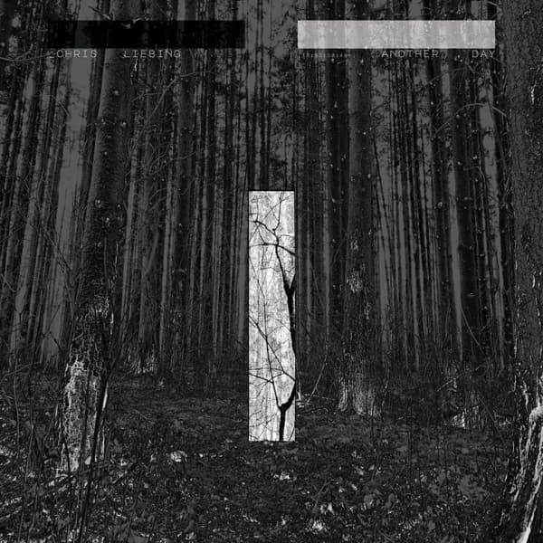 Chris Liebing - Another Day (2 LP)