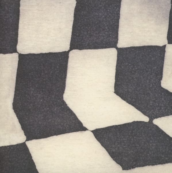Ducktails - The Flower Lane (CD)