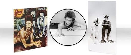 David Bowie - Diamond Dogs (LP) (Picture Disc) (Limited Edition)