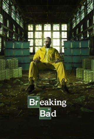 Breaking Bad - Season 5, Part 2 (Import)