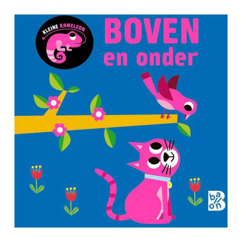 Kleine Kameleon - Boven en Onder 12m+