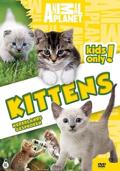 Animal planet - Kittens (DVD)