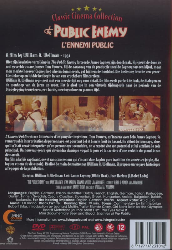 Public Enemy, The