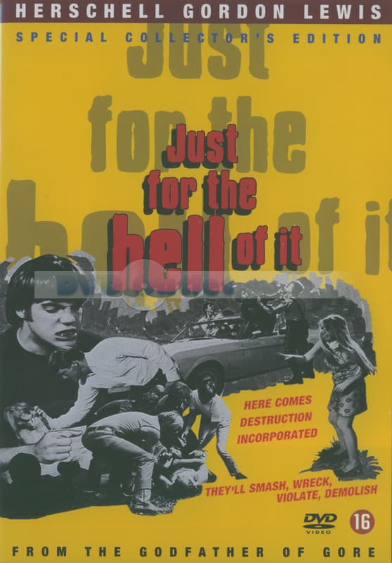 Just For The Hell Of It (DVD)