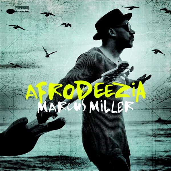 Marcus Miller - Afrodeezia (CD)