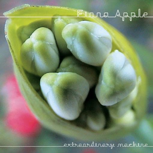 Apple, Fiona - Extraordinary Machine