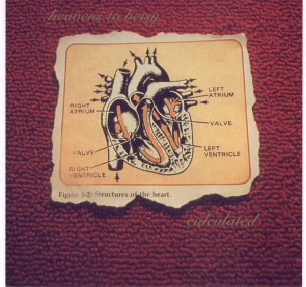 Heavens To Betsy - Calculated (CD)