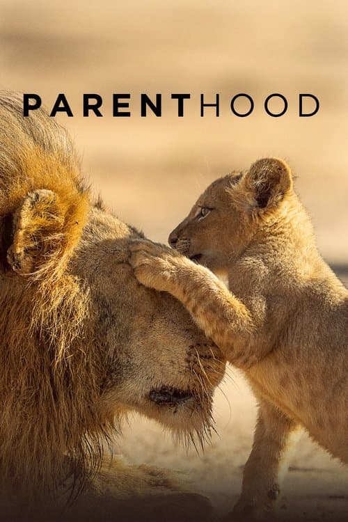 Parenthood - Season 1