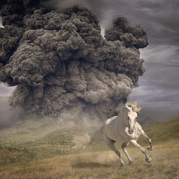 White Buffalo - Year Of The Dark Horse (LP)